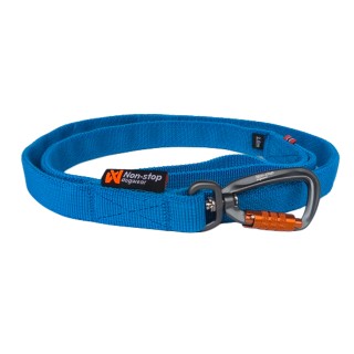 Bungee Leash