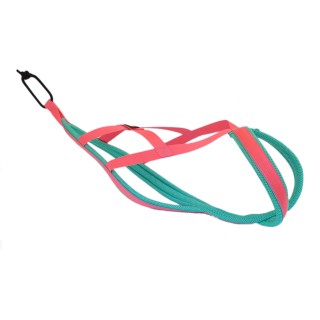 X-back harness NH