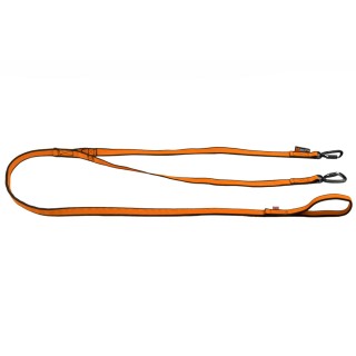 Bungee Leash Double