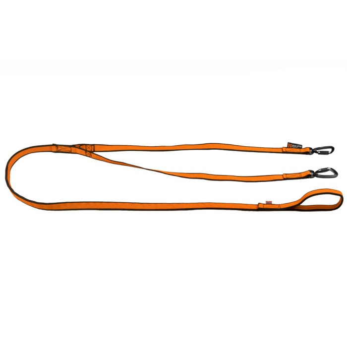 Bungee Leash Double