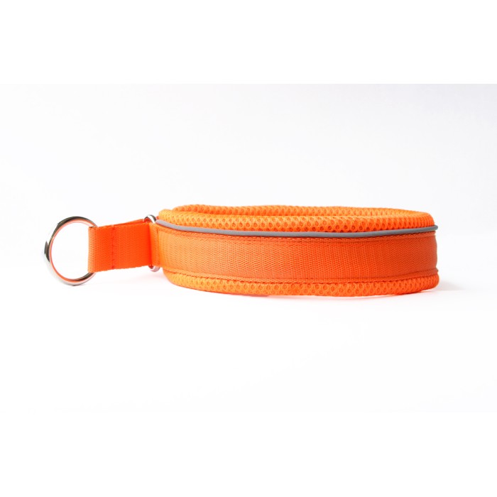 Hunting collar